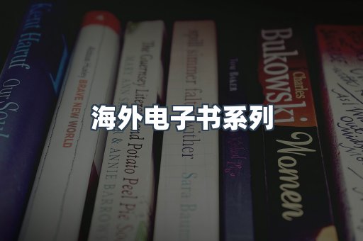 海外电子书系列
